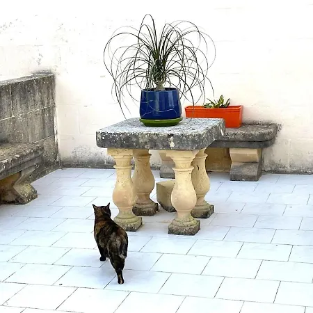 Apartment Stunning Spacious With Garden Terrace Gozo Sannat