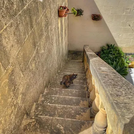 Stunning Spacious With Garden Terrace Gozo